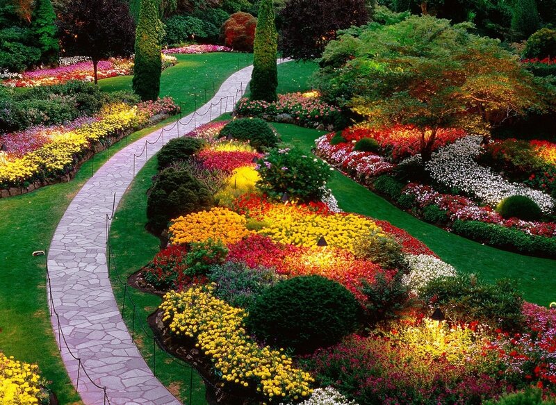 Colorful Flower Garden — Green, Serene, Night