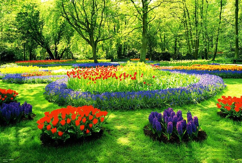 Colorful Flower Garden — Green, Serene, Spring, Photograph, Trees, Grass