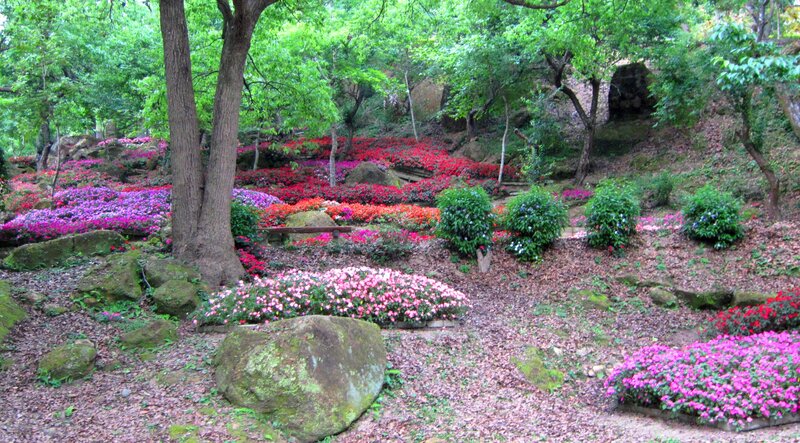 Colorful Flower Garden — Green, Serene, Spring
