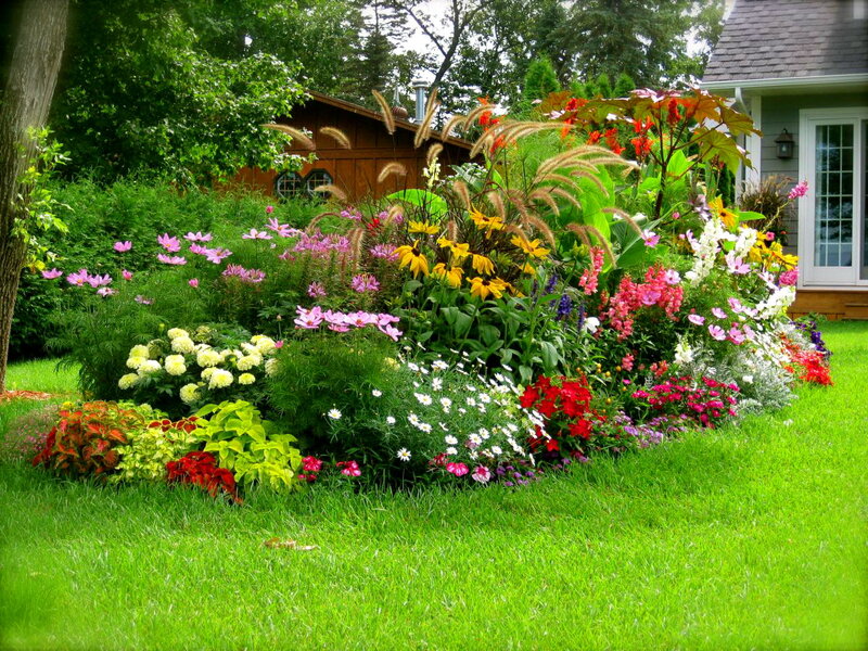 Colorful Flower Garden — Green, Serene, Summer, Photograph