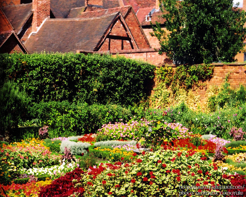 Colorful Flower Garden — Green, Serene