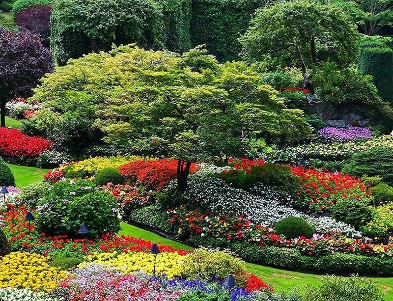 Colorful Flower Garden — Green