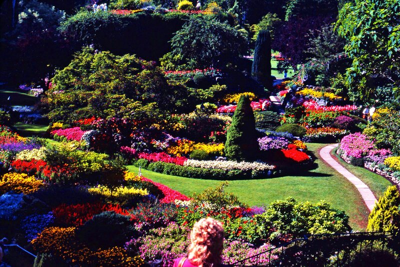 Colorful Flower Garden — Green, Vibrant, Afternoon, Photograph, People