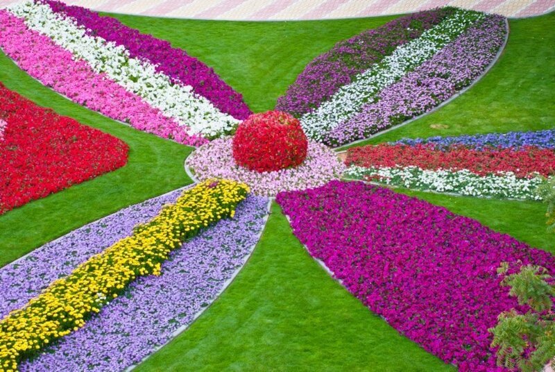Colorful Flower Garden — Green, Vibrant