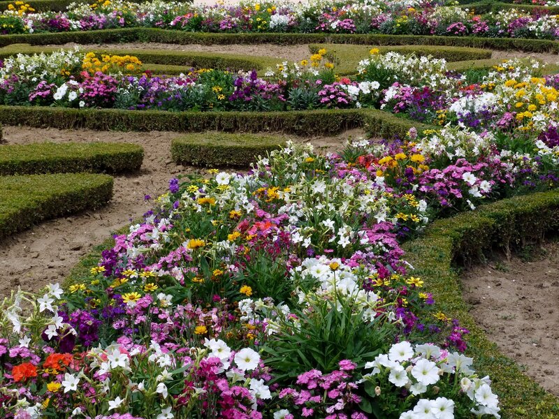 Colorful flower garden in a formal garden