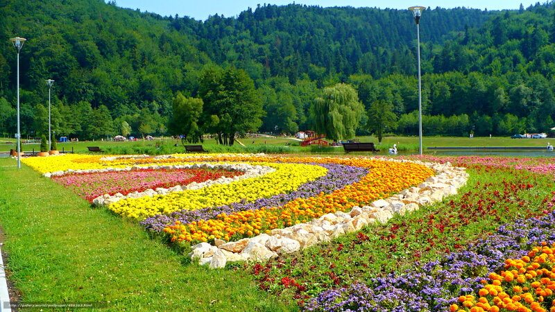 Colorful flower garden in park