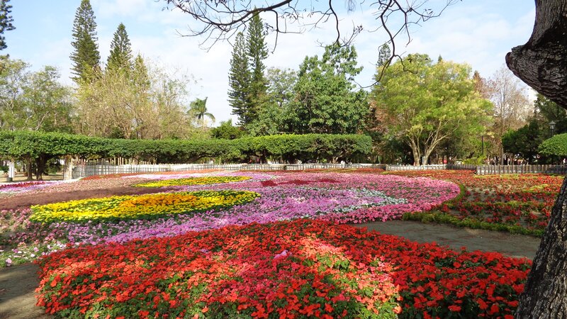 Colorful flower garden in park