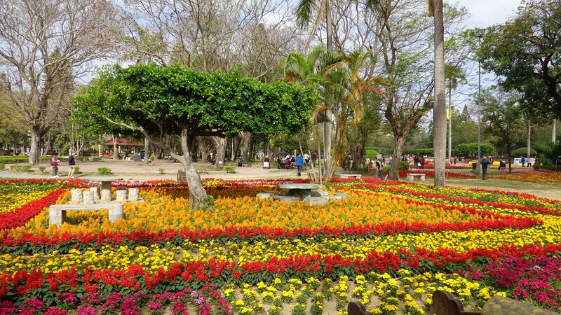 Colorful flower garden in park