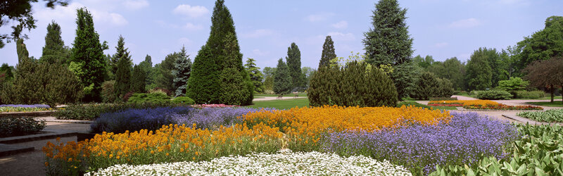 Colorful flower garden in park