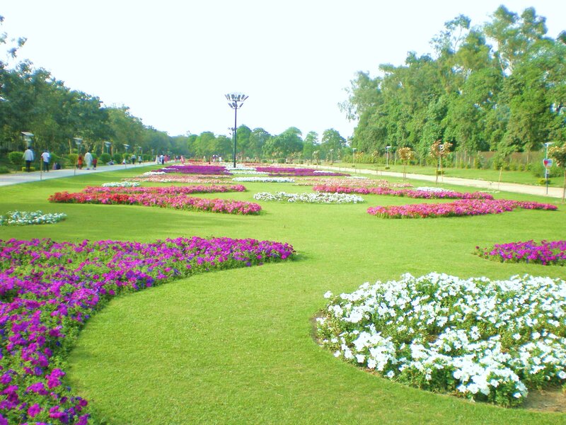 Colorful flower garden in park