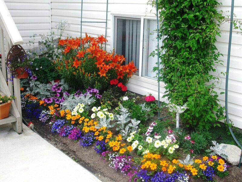 Colorful Flower Garden — Orange