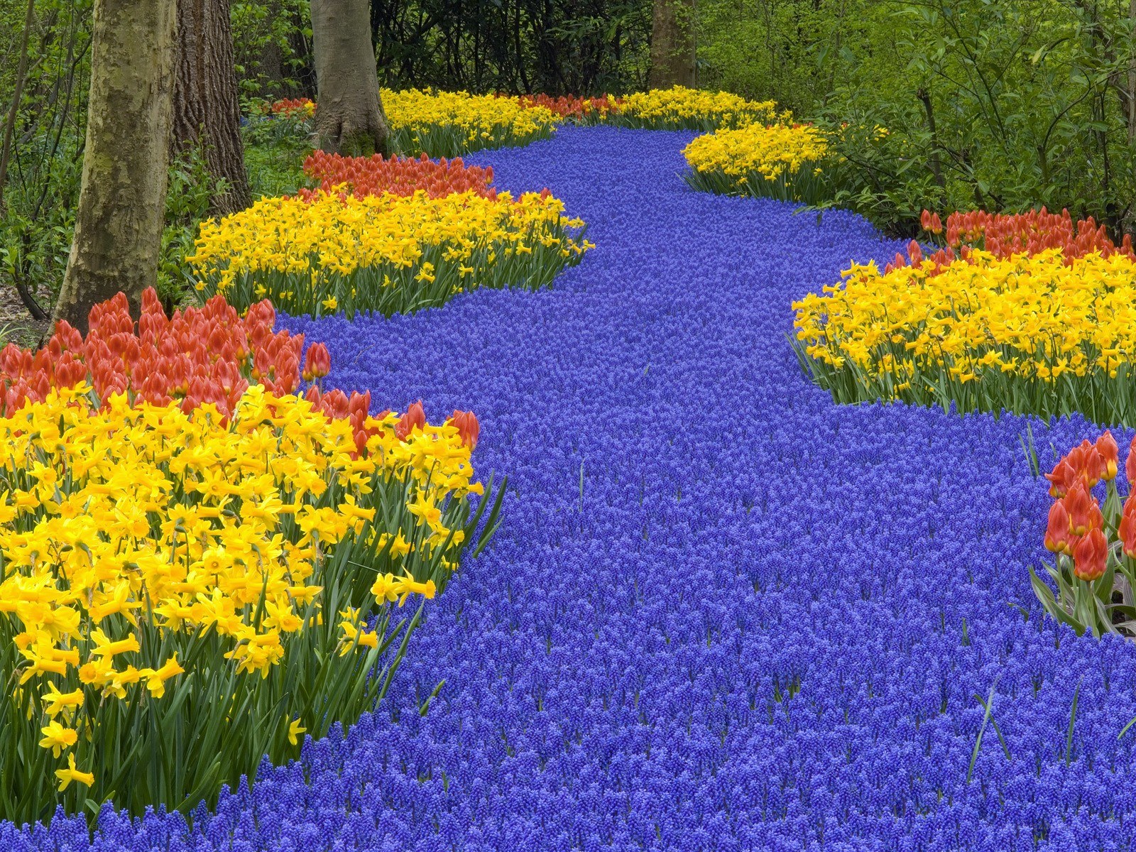 Colorful flower garden path