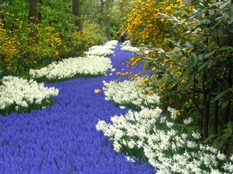 Colorful flower garden path