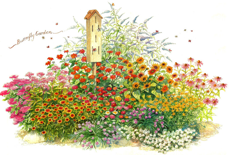 Colorful Flower Garden — Pink, Serene, Spring, Illustration
