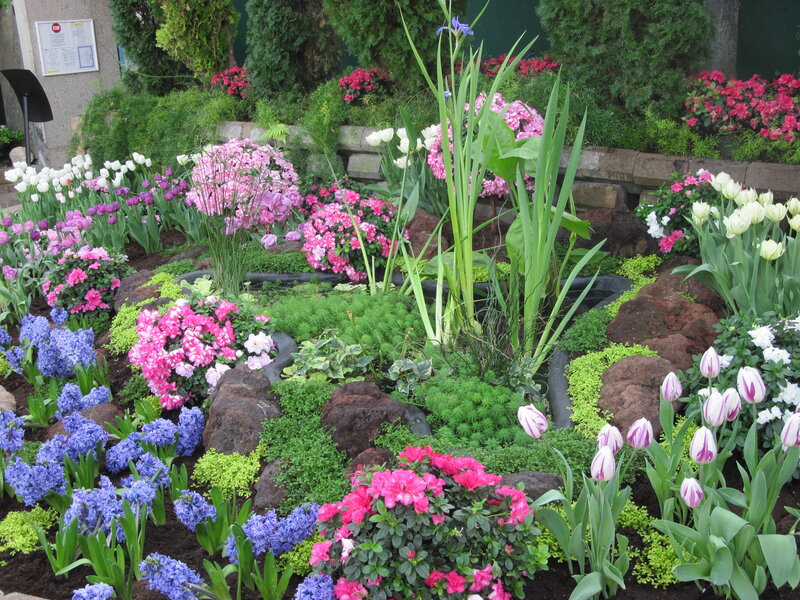 Colorful Flower Garden — Pink, Serene, Spring, Photograph