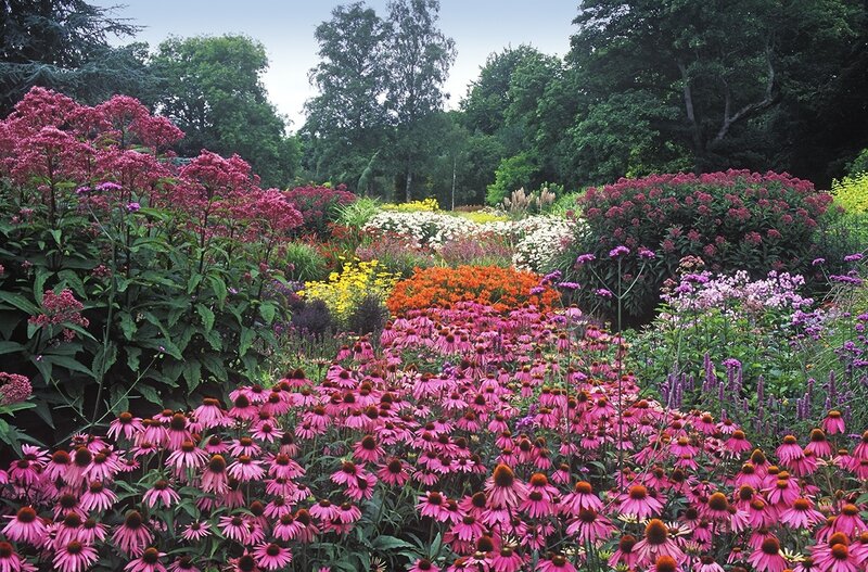 Colorful Flower Garden — Pink, Serene, Summer, Photograph, Flowers