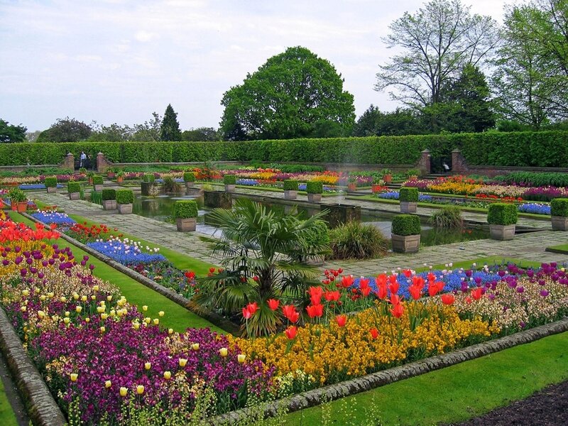 Colorful Flower Garden — Purple, Serene, Spring