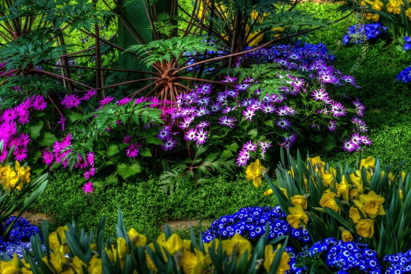 Colorful Flower Garden — Purple, Vibrant, Spring