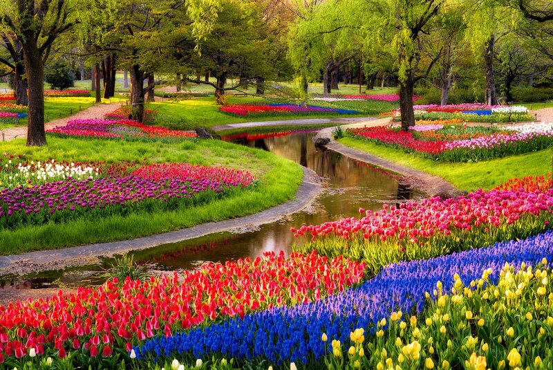 Colorful Flower Garden — Red, Serene, Spring, Photograph