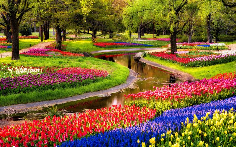 Colorful Flower Garden — Red, Serene, Spring, Photograph, Trees, Stream, Path
