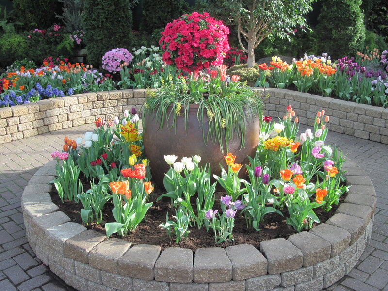 Colorful Flower Garden — Red, Serene, Spring