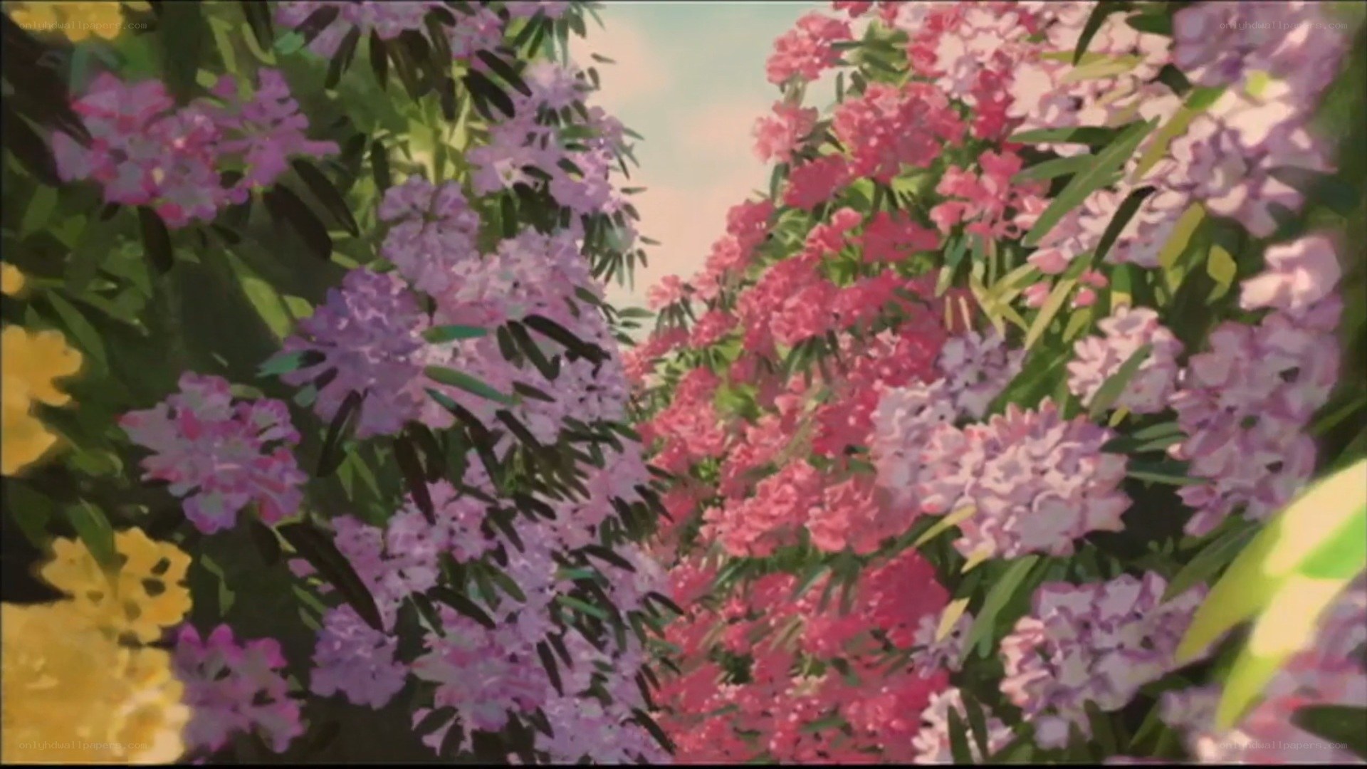 colorful flower garden scene