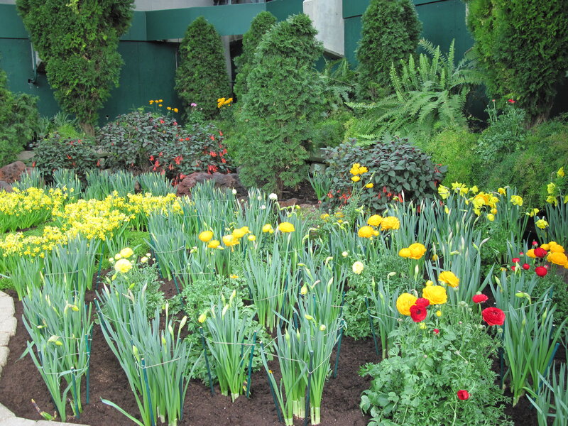 Colorful Flower Garden — Yellow, Serene, Spring