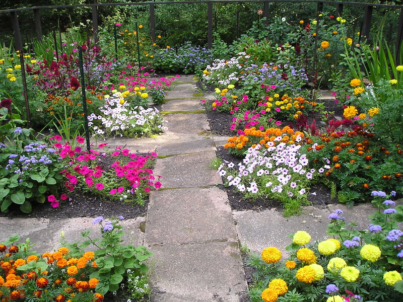 Colorful Flower Garden — Yellow, Serene, Summer, Photograph