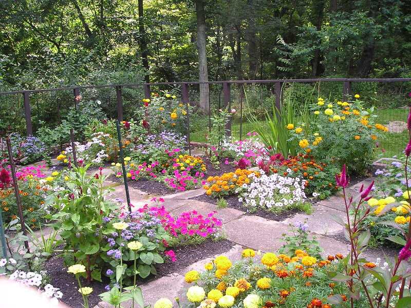 Colorful Flower Garden — Yellow, Serene, Summer