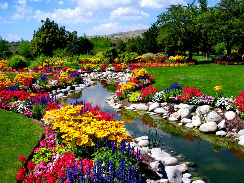 Colorful Flower Garden — Yellow, Serene