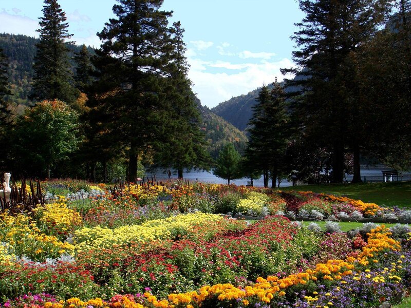 Colorful Flower Garden — Yellow