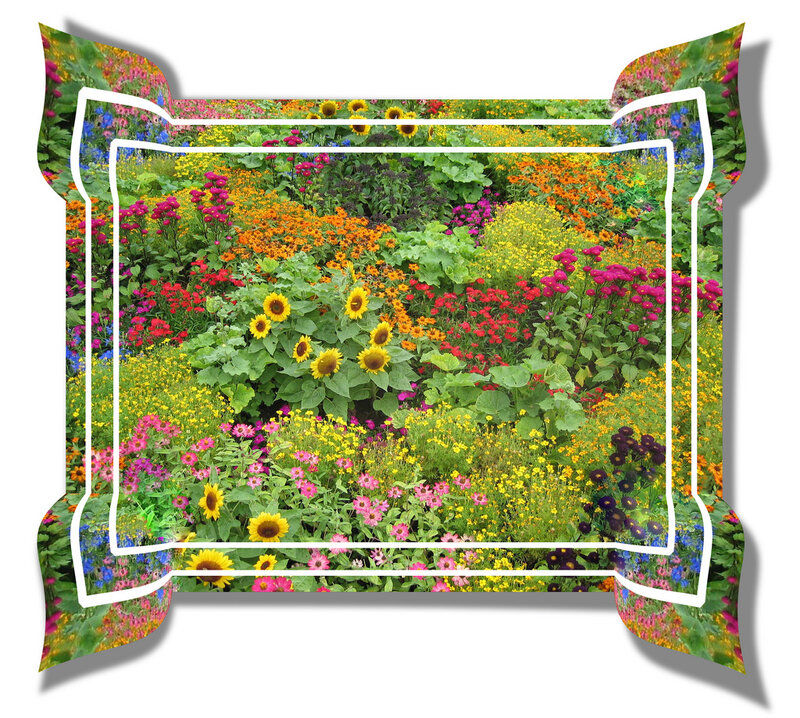 Colorful Flower Garden — Yellow, Vibrant, Summer, Photograph, Sunflowers
