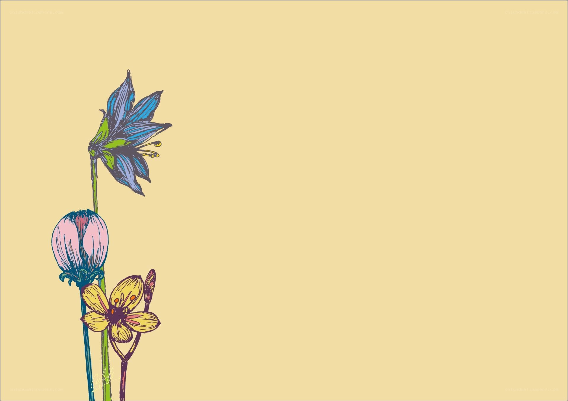 colorful flower illustration