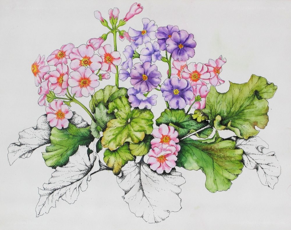 Colorful flower illustration
