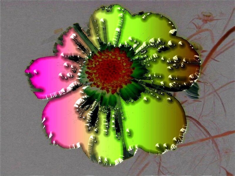 Colorful Flower Illustration — Pink