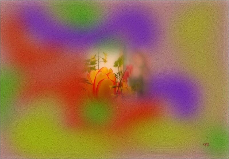 Colorful Flower in Center