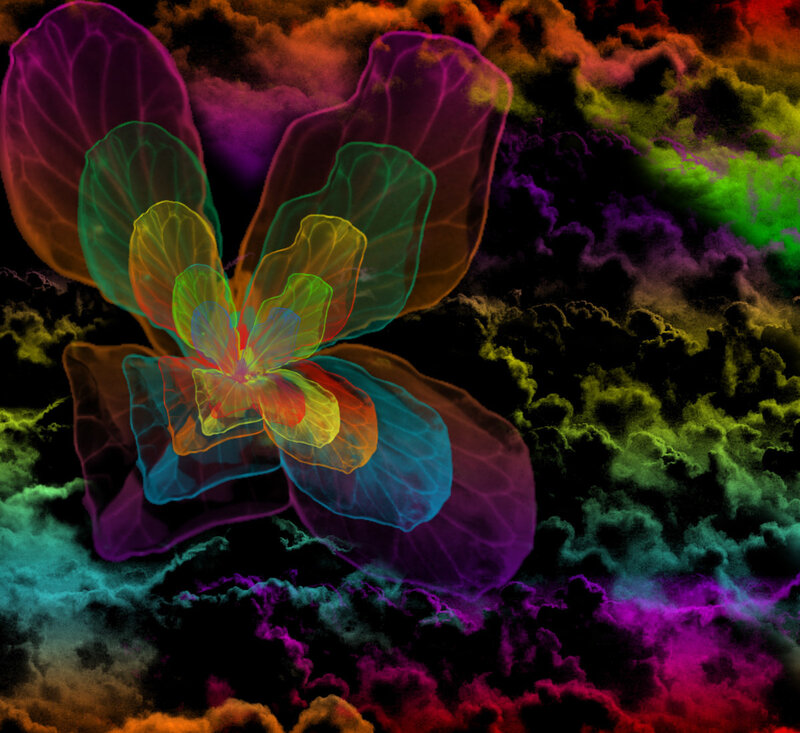 Colorful Flower in Clouds