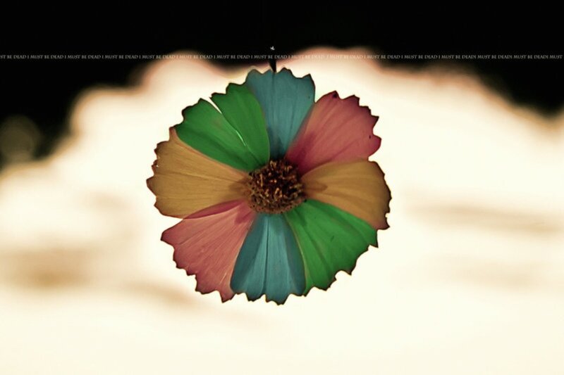 Colorful Flower in Sky