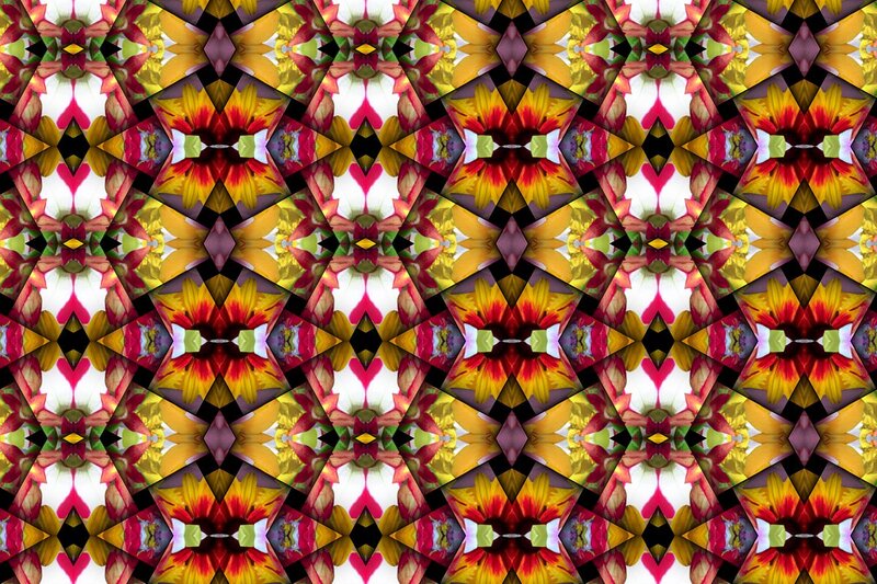 Colorful Flower Kaleidoscope