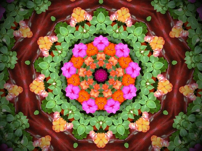 Colorful Flower Mandala — Pink