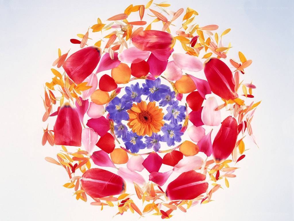 colorful flower mandala