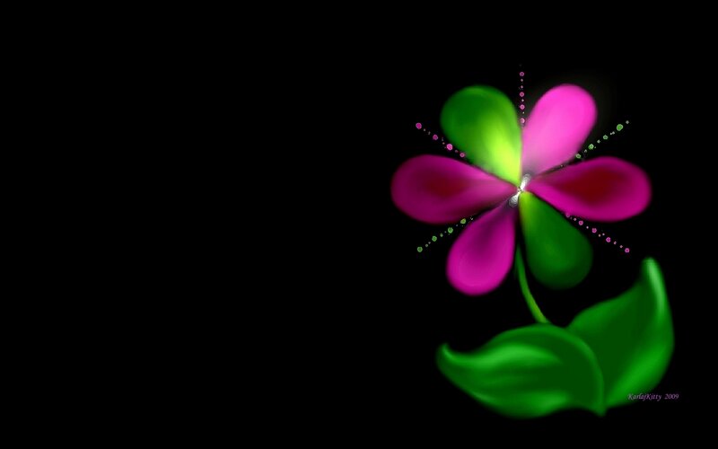 colorful flower on black