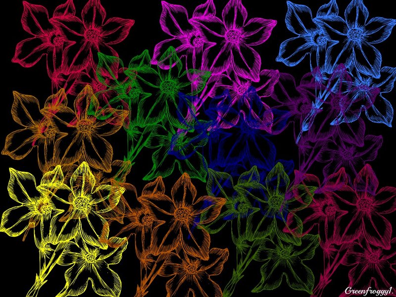 Colorful Flower Outlines