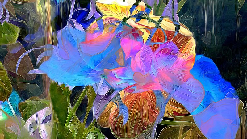 Colorful Flower Painting