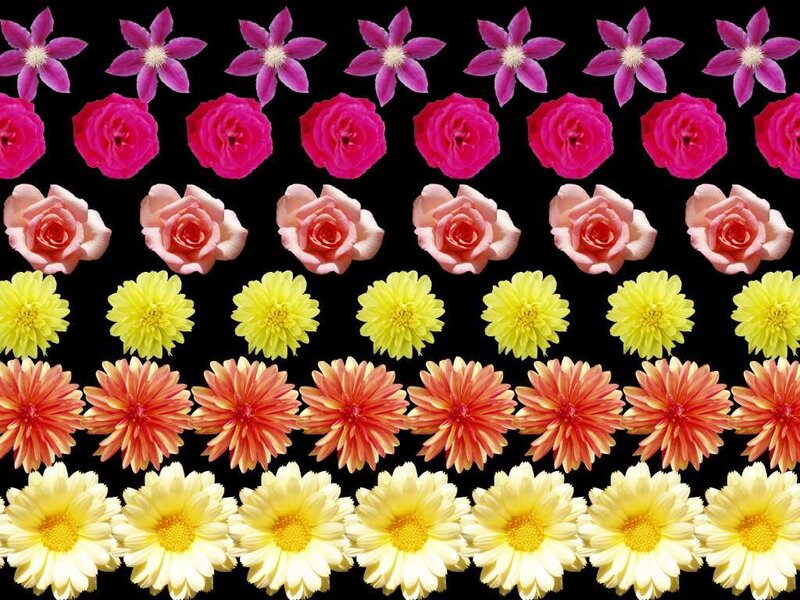 Colorful flower pattern