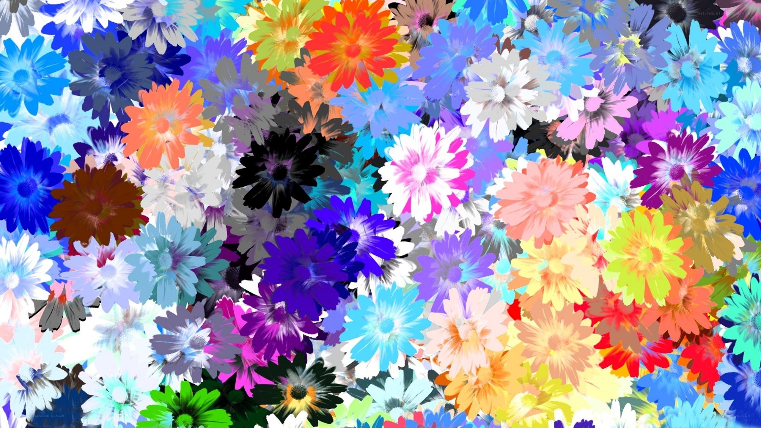Colorful flower pattern