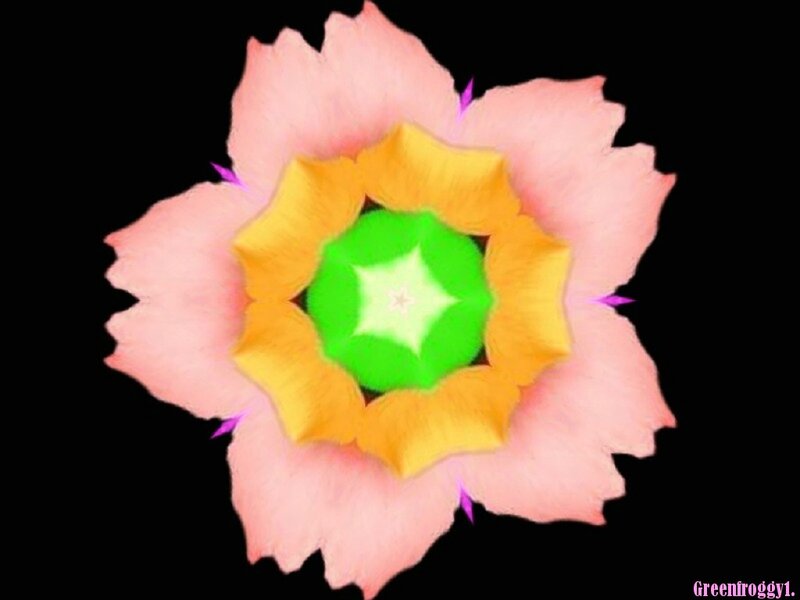 Colorful Flower Pattern — Pink, Vibrant, Digital Art