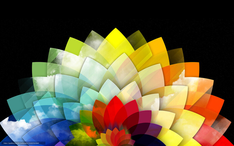 Colorful Flower Pattern — Red, Vibrant, Digital Art