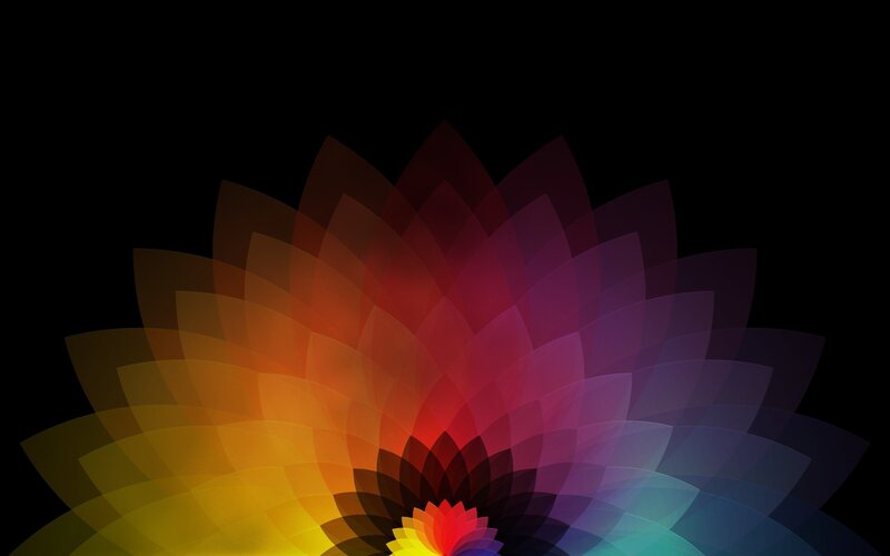 Colorful Flower Pattern — Yellow, Calm