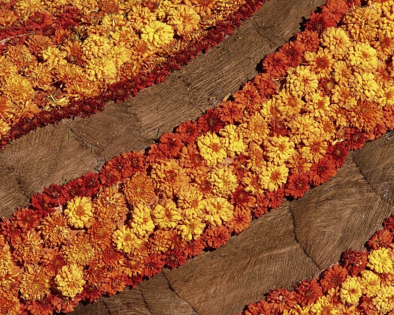 Colorful flower patterns on wood